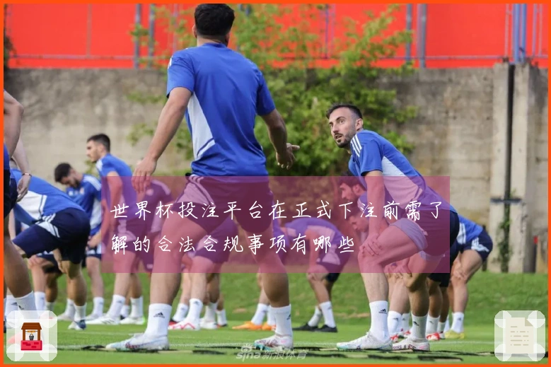 世界杯投注平台在正式下注前需了解的合法合规事项有哪些