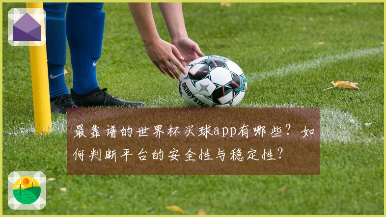 最靠谱的世界杯买球app有哪些？如何判断平台的安全性与稳定性？