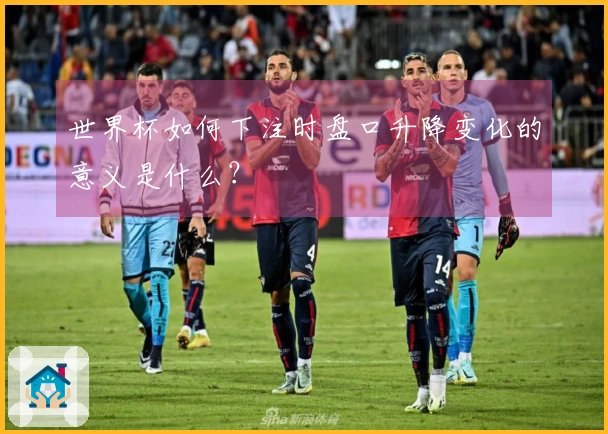 世界杯如何下注时盘口升降变化的意义是什么？
