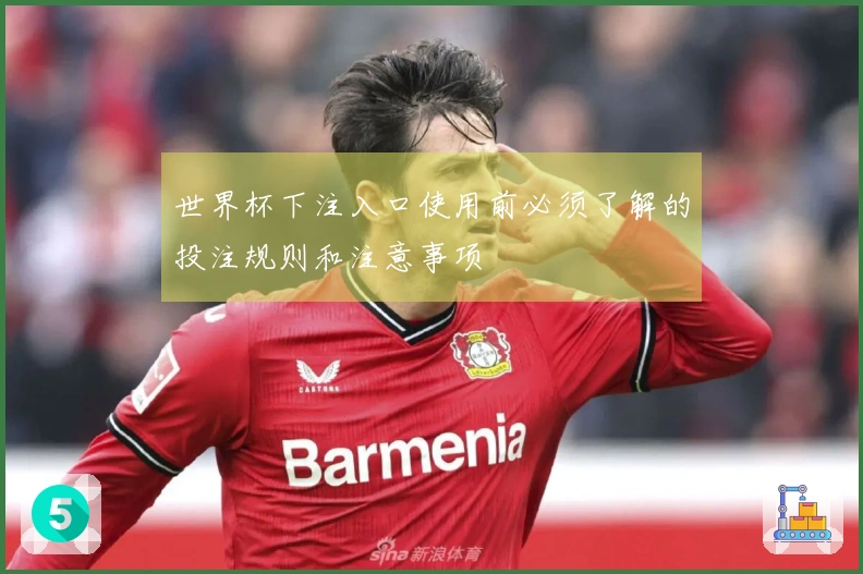 世界杯下注入口使用前必须了解的投注规则和注意事项