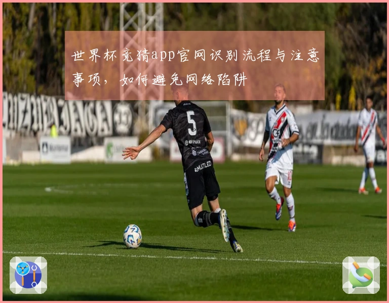 世界杯竞猜app官网识别流程与注意事项，如何避免网络陷阱