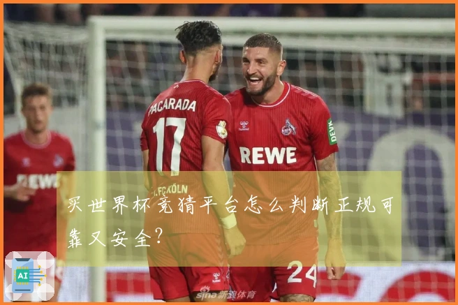 买世界杯竞猜平台怎么判断正规可靠又安全？