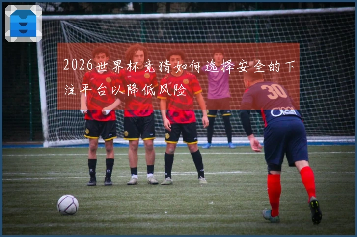 2026世界杯竞猜如何选择安全的下注平台以降低风险