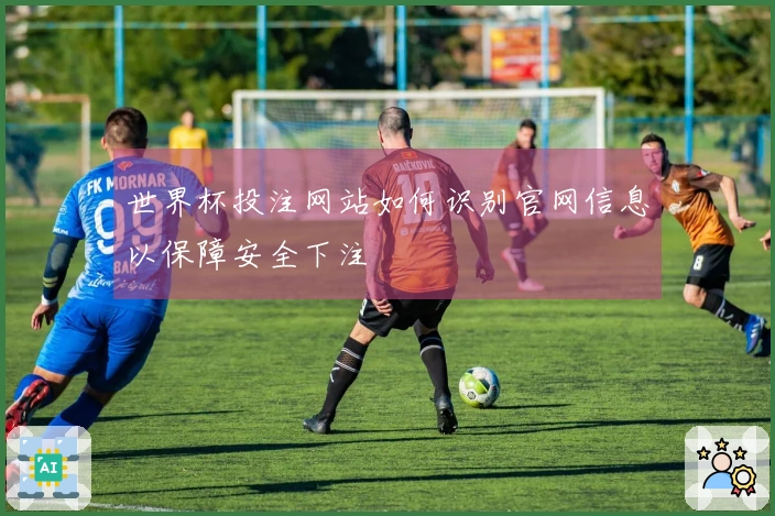 世界杯投注网站如何识别官网信息以保障安全下注