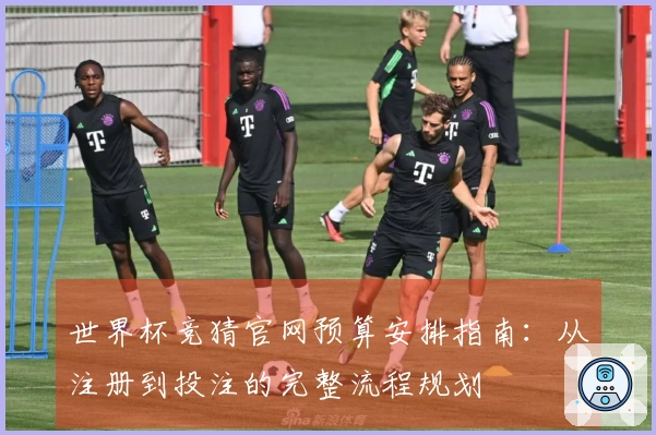 世界杯竞猜官网预算安排指南：从注册到投注的完整流程规划