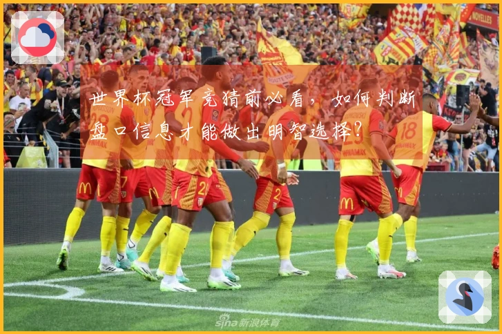 世界杯冠军竞猜前必看，如何判断盘口信息才能做出明智选择？