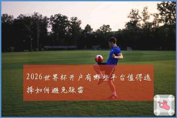 2026世界杯开户有哪些平台值得选择如何避免踩雷