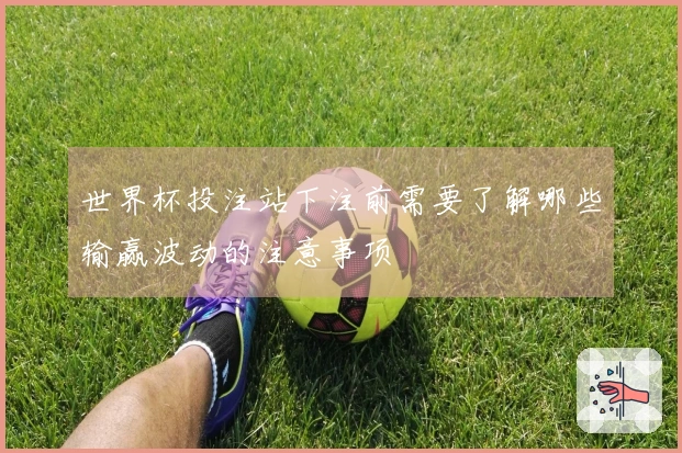 世界杯投注站下注前需要了解哪些输赢波动的注意事项