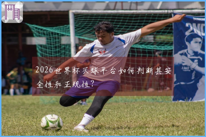 2026世界杯买球平台如何判断其安全性和正规性？