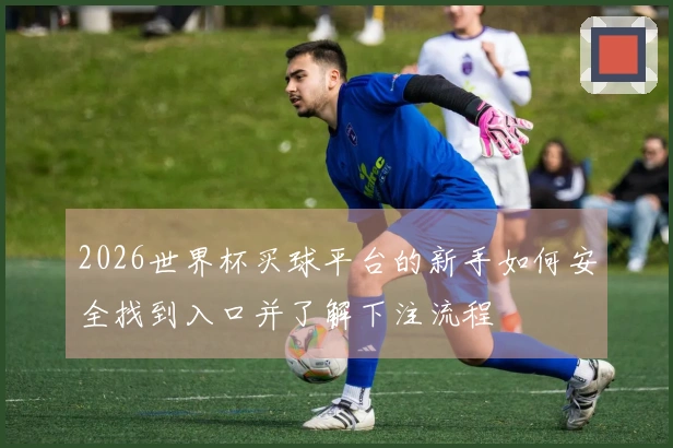 2026世界杯买球平台的新手如何安全找到入口并了解下注流程