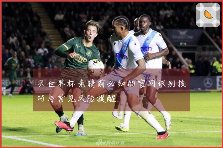买世界杯竞猜前必知的官网识别技巧与常见风险提醒