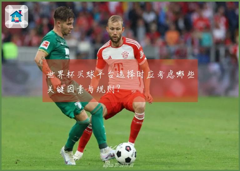 世界杯买球平台选择时应考虑哪些关键因素与规则？