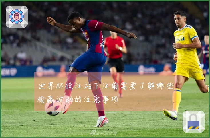 世界杯投注站下注前需要了解哪些输赢波动的注意事项