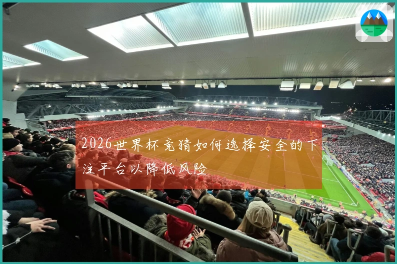 2026世界杯竞猜如何选择安全的下注平台以降低风险