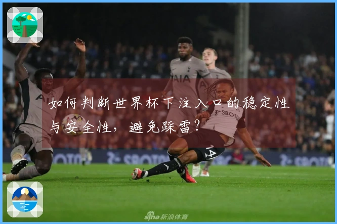 如何判断世界杯下注入口的稳定性与安全性，避免踩雷？