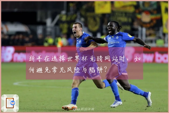 新手在选择世界杯竞猜网站时，如何避免常见风险与陷阱？