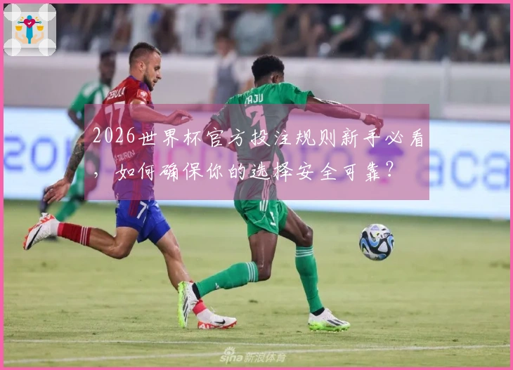 2026世界杯官方投注规则新手必看，如何确保你的选择安全可靠？