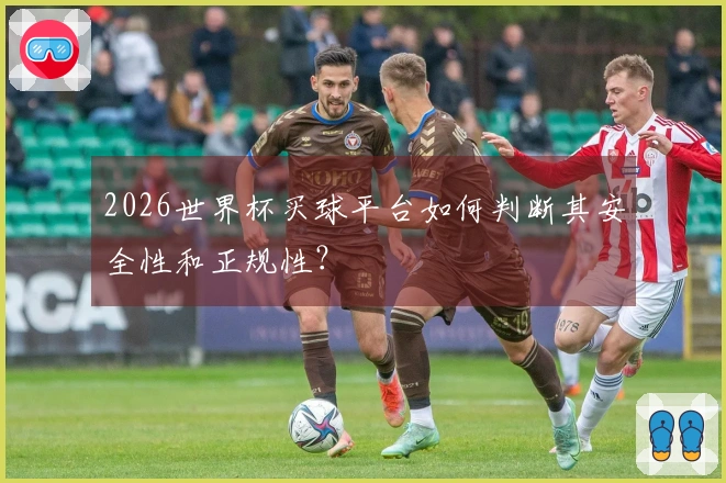 2026世界杯买球平台如何判断其安全性和正规性？