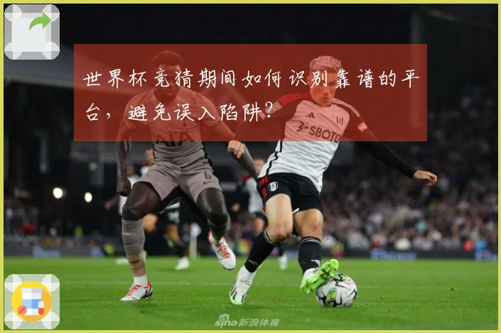 世界杯竞猜期间如何识别靠谱的平台，避免误入陷阱？