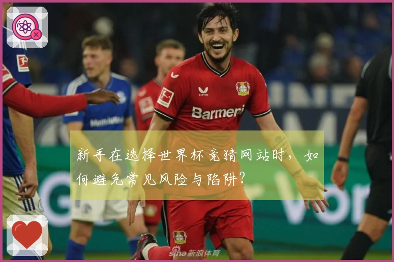 新手在选择世界杯竞猜网站时，如何避免常见风险与陷阱？