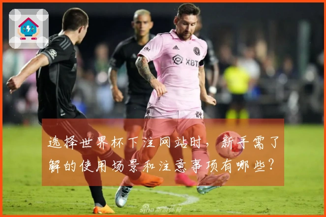 选择世界杯下注网站时，新手需了解的使用场景和注意事项有哪些？